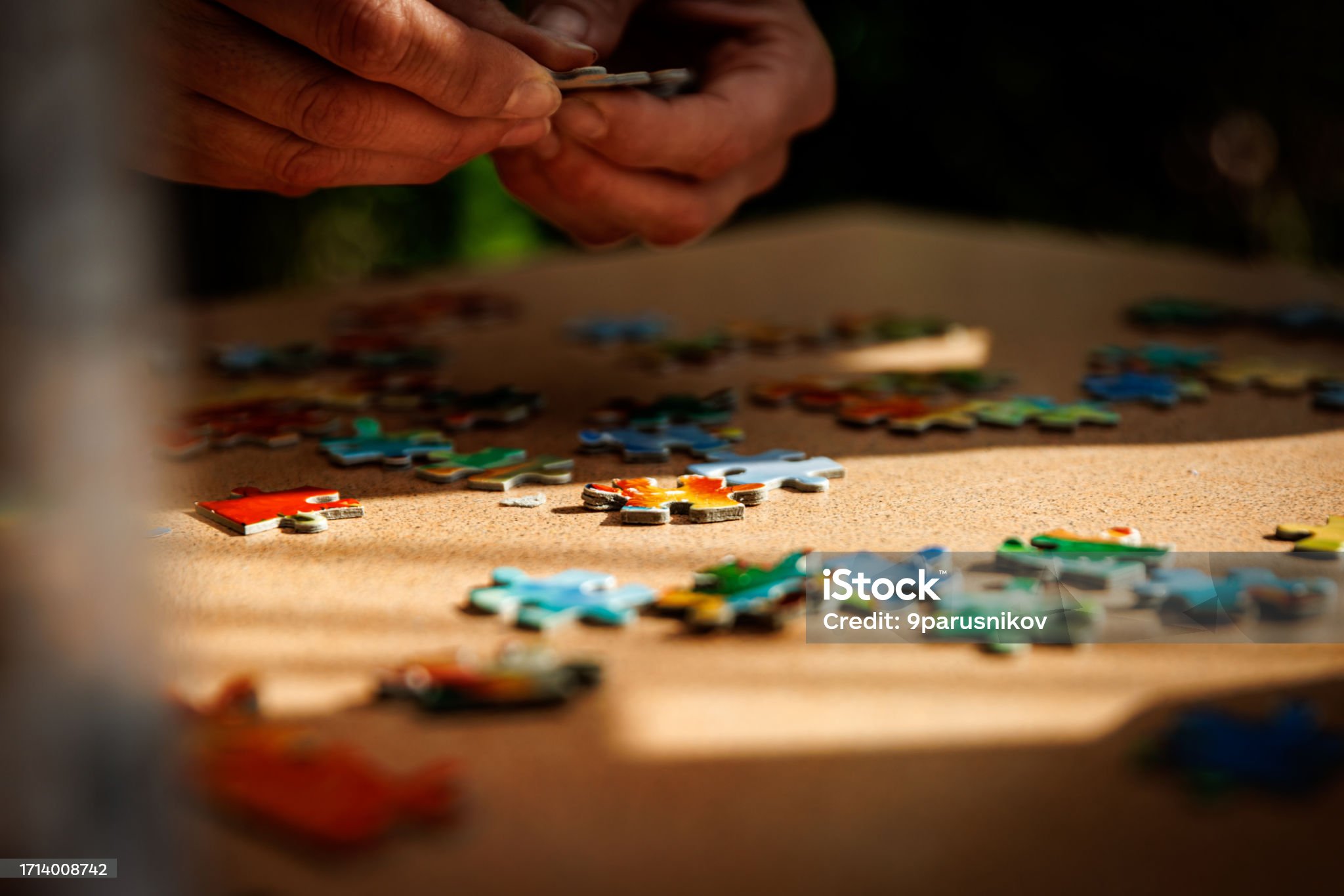 Elements of the puzzle are laid out on a table. Man hands fold puzzles.